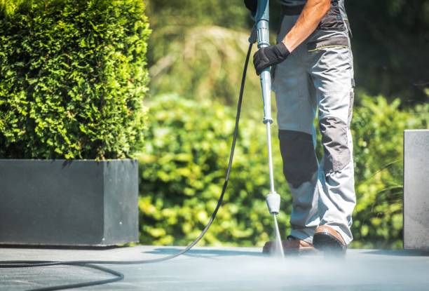 Best Fence Cleaning and Maintenance in De Leon, TX