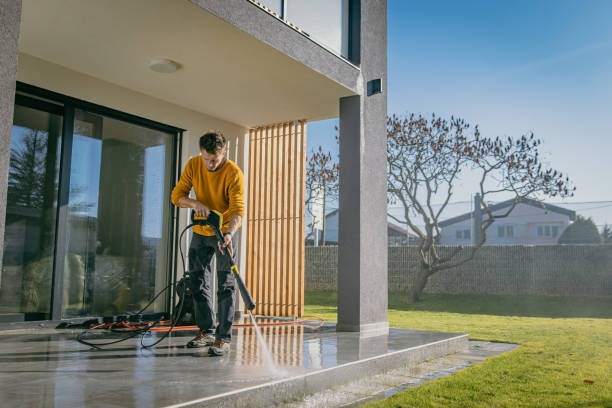Best Roof Cleaning and Mildew Removal in De Leon, TX